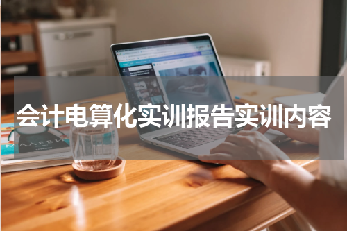 会计电算化实训报告实训内容