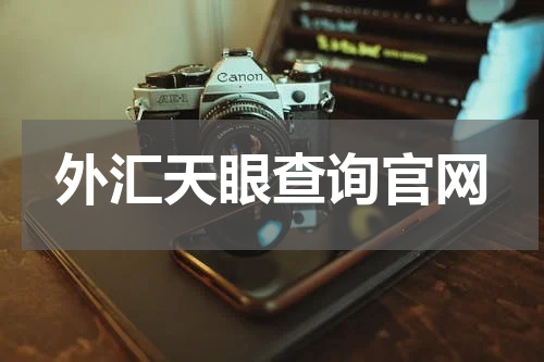 外汇天眼查询官网