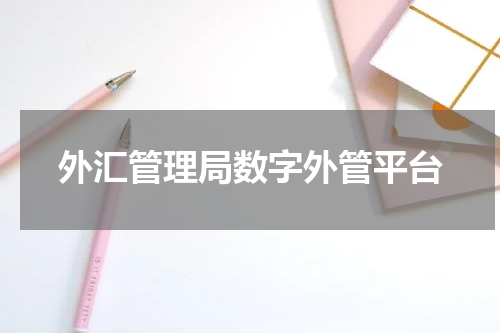 外汇管理局数字外管平台