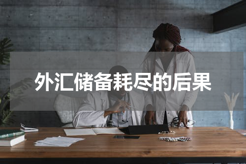 外汇储备耗尽的后果