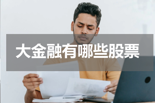 大金融有哪些股票