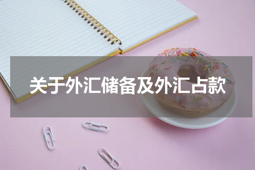 关于外汇储备及外汇占款