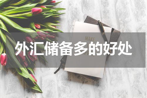 外汇储备多的好处