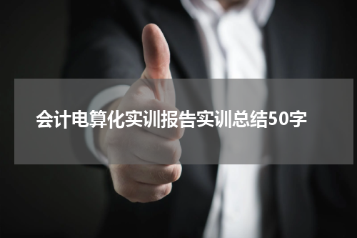 会计电算化实训报告实训总结50字