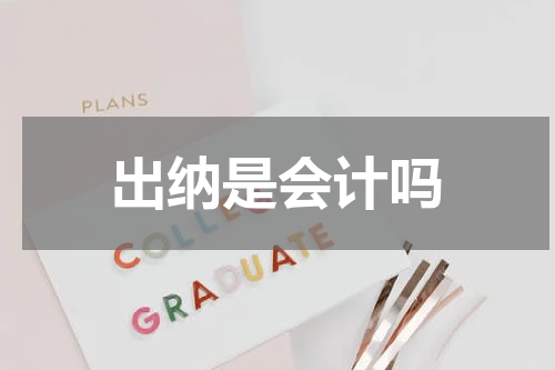 出纳是会计吗