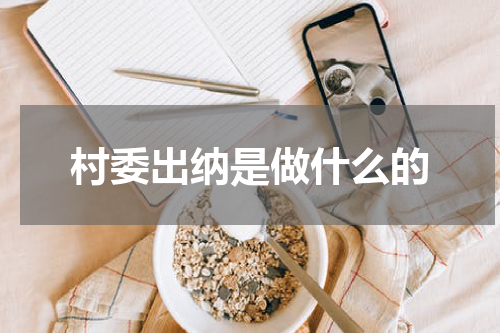村委出纳是做什么的