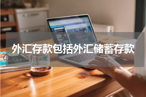 外汇存款包括外汇储蓄存款