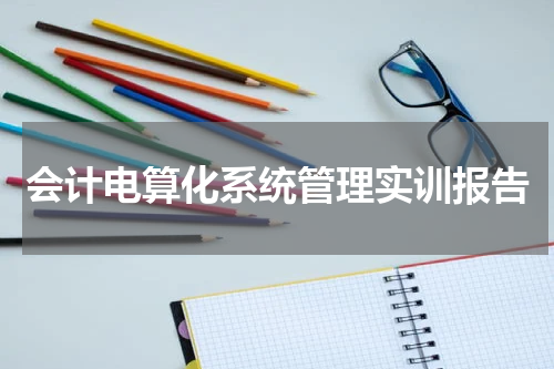 会计电算化系统管理实训报告