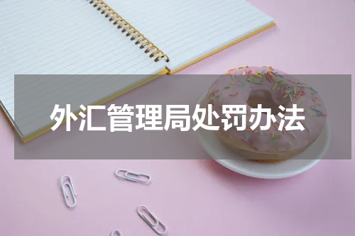 外汇管理局处罚办法