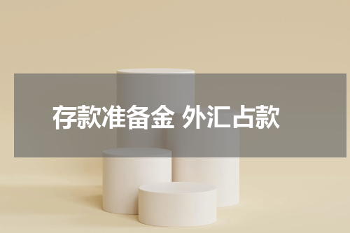 存款准备金 外汇占款
