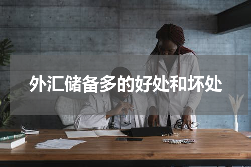 外汇储备多的好处和坏处
