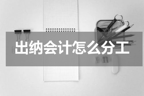 出纳会计怎么分工