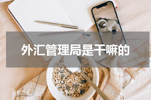 外汇管理局是干嘛的