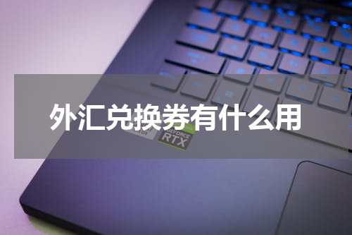 外汇兑换券有什么用