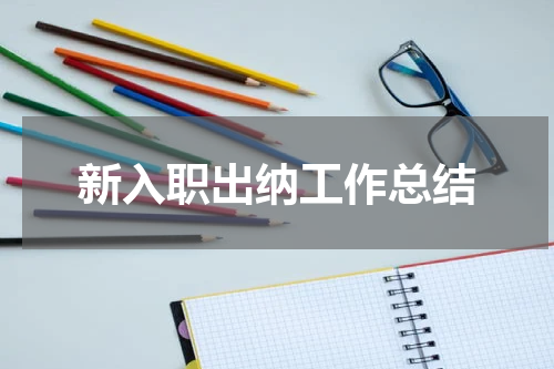 新入职出纳工作总结