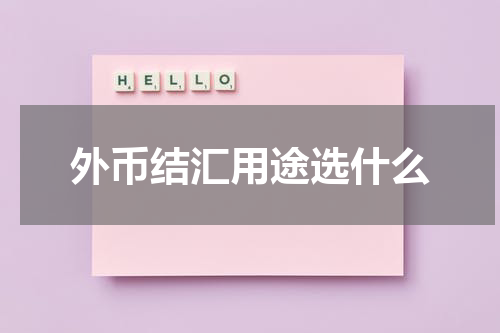 外币结汇用途选什么