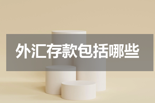 外汇存款包括哪些