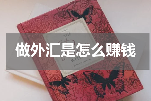 做外汇是怎么赚钱