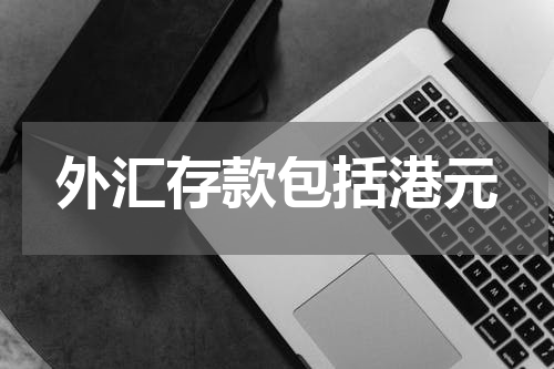 外汇存款包括港元