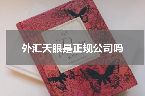 外汇天眼是正规公司吗