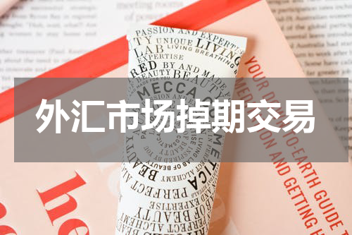 外汇市场掉期交易