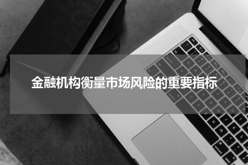 金融机构衡量市场风险的重要指标