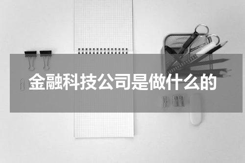 金融科技公司是做什么的