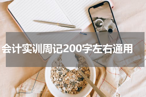 会计实训周记200字左右通用