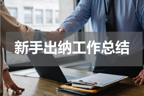 新手出纳工作总结