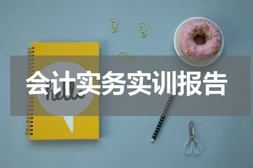 会计实务实训报告