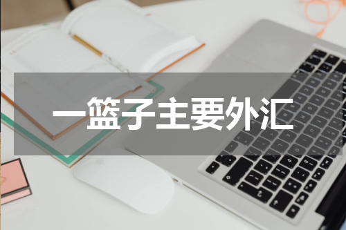 一篮子主要外汇