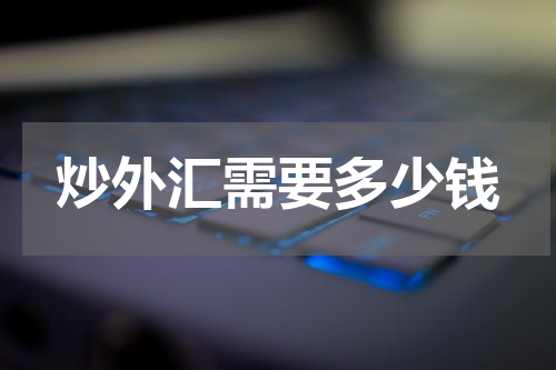 炒外汇需要多少钱