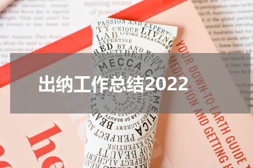 出纳工作总结2022