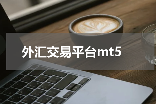 外汇交易平台mt5