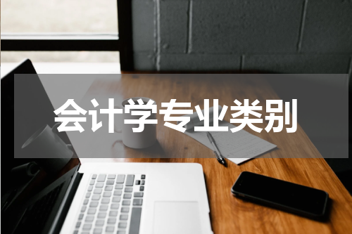 会计学专业类别