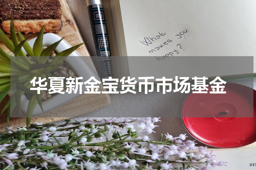 华夏新金宝货币市场基金