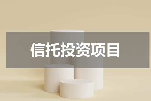 信托投资项目