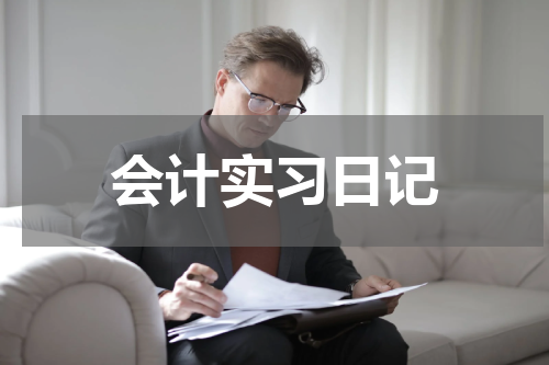 会计实习日记