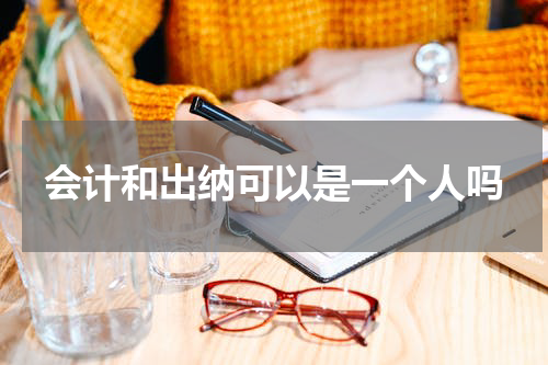 会计和出纳可以是一个人吗