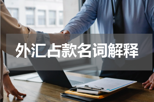 外汇占款名词解释