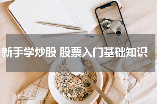 新手学炒股 股票入门基础知识