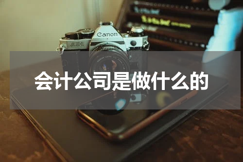 会计公司是做什么的
