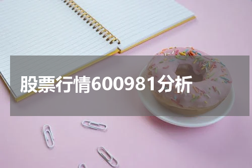 股票行情600981分析