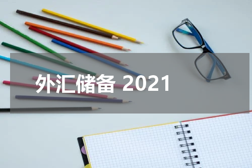 外汇储备 2021
