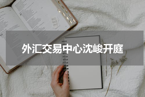 外汇交易中心沈峻开庭