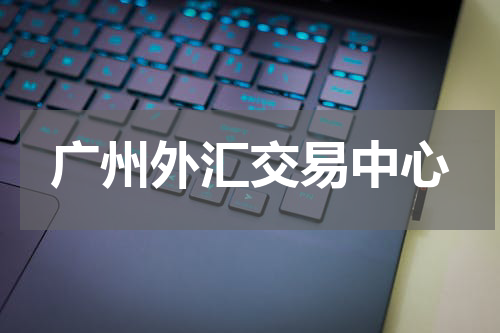 广州外汇交易中心