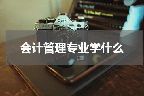 会计管理专业学什么