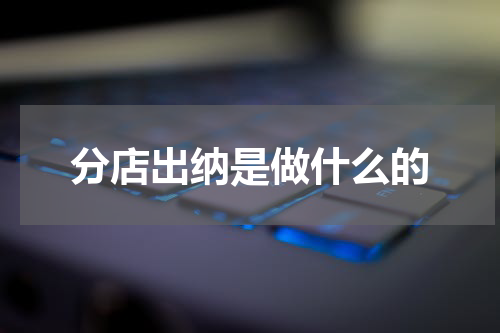 分店出纳是做什么的