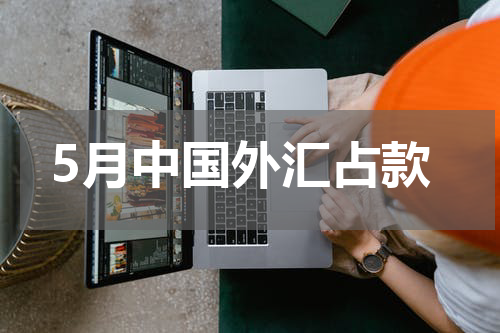5月中国外汇占款