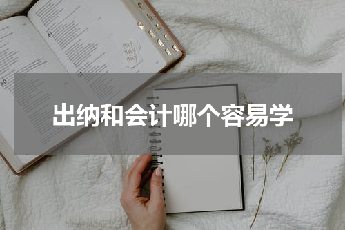 出纳和会计哪个容易学